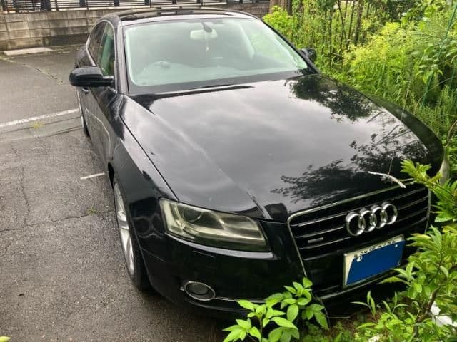AUDI