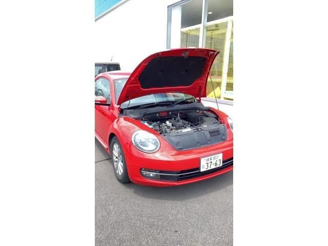 VOLKSWAGEN VOLKSWAGEN The BEETLE