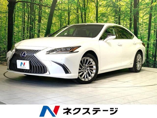 TOYOTA LEXUS ES300h