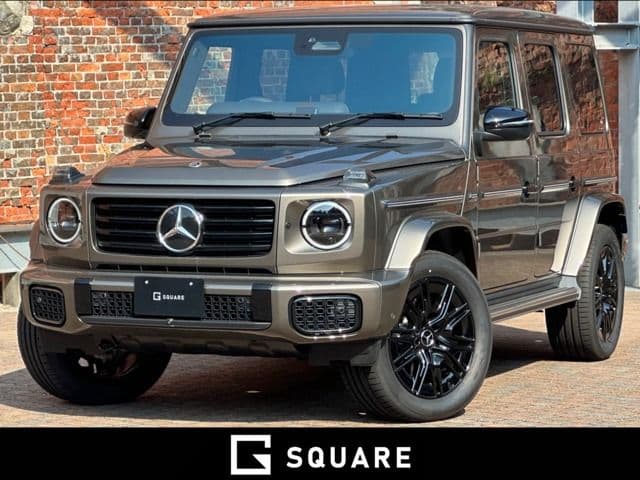 MERCEDES BENZ MERCEDES BENZ G class