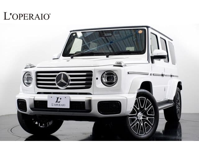 MERCEDES BENZ MERCEDES BENZ G class