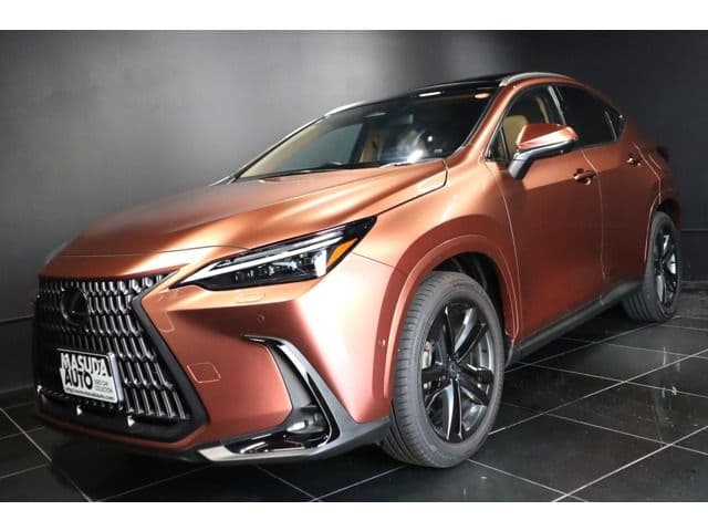 TOYOTA LEXUS NX350h AWD