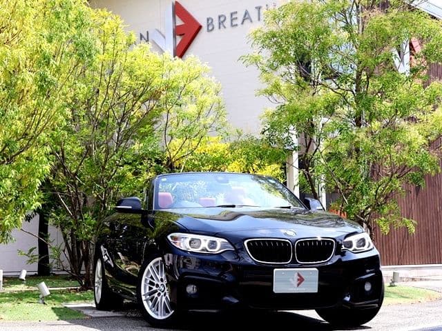 BMW BMW 2series open