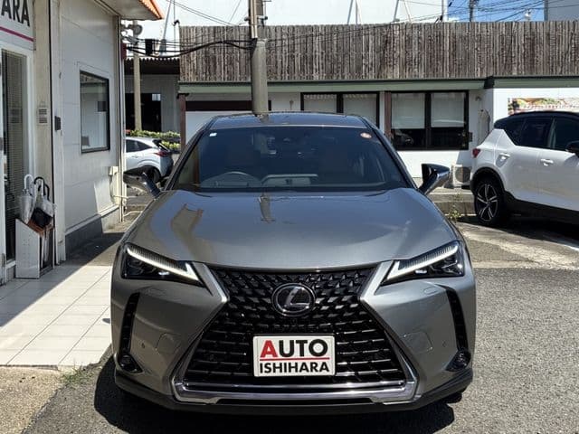 TOYOTA LEXUS UX250h