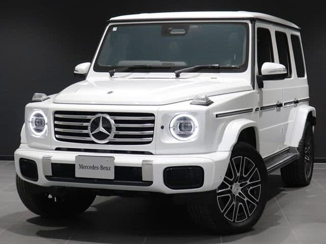 MERCEDES BENZ MERCEDES BENZ G class
