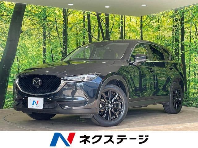 Car image 1