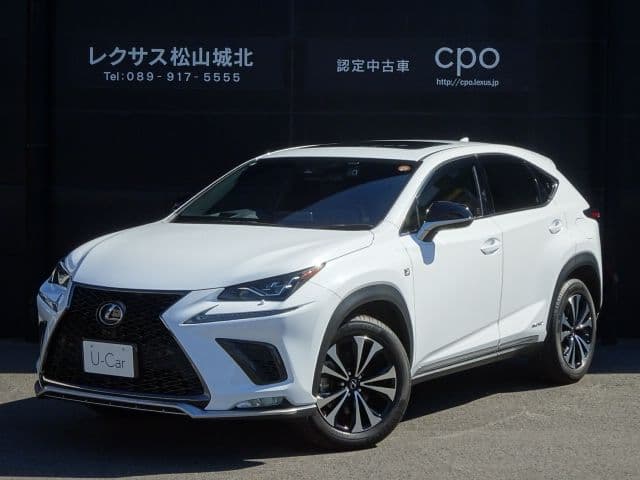 TOYOTA LEXUS NX300h