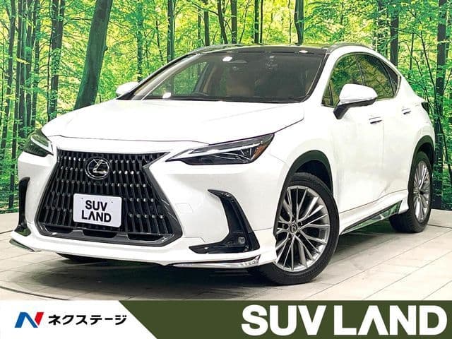 TOYOTA LEXUS NX250