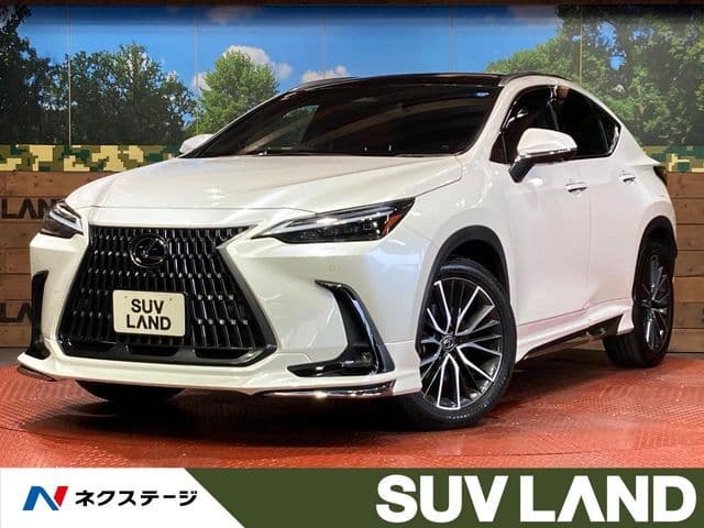 TOYOTA LEXUS NX250