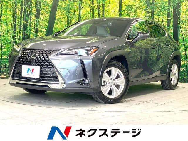 TOYOTA LEXUS UX250h