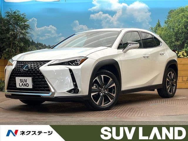 TOYOTA LEXUS UX250h