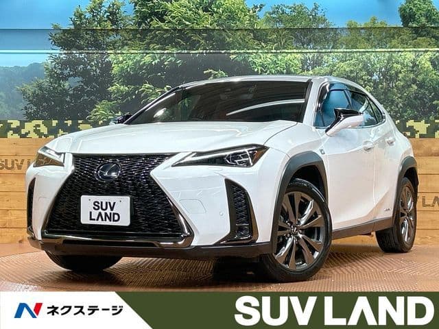 TOYOTA LEXUS UX250h
