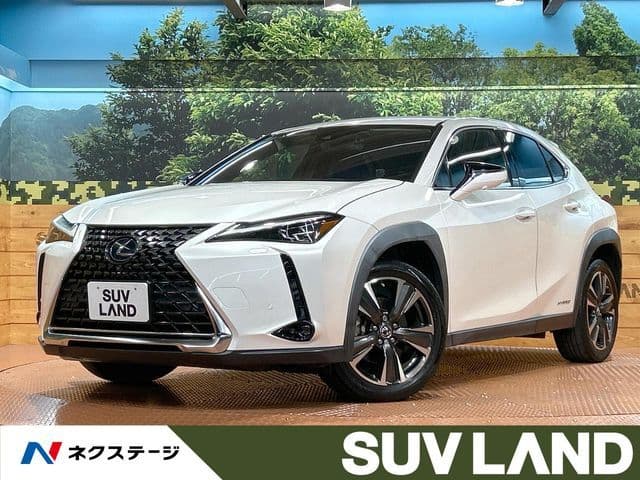 TOYOTA LEXUS UX250h
