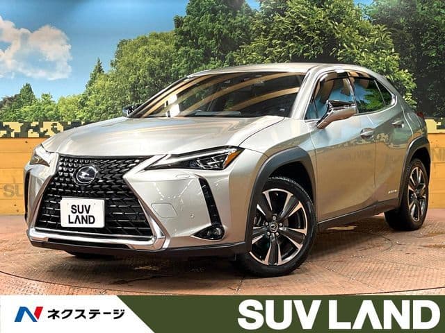 TOYOTA LEXUS UX250h