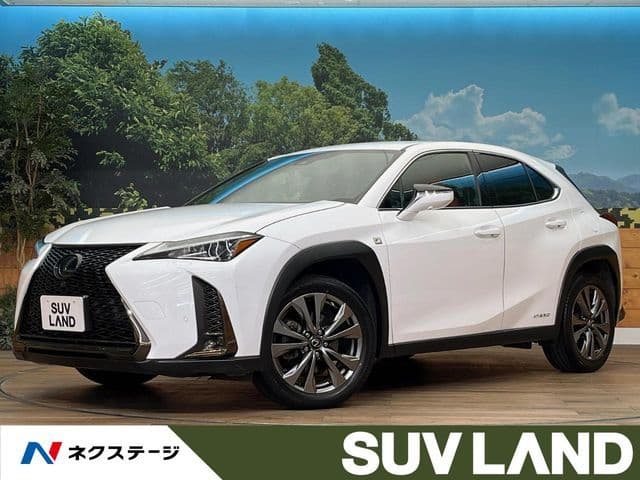 TOYOTA LEXUS UX250h AWD