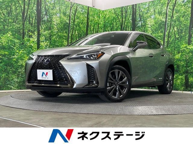 TOYOTA LEXUS UX250h AWD