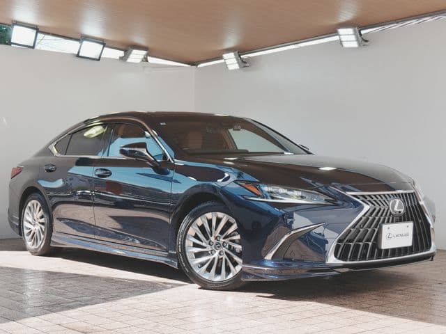 TOYOTA LEXUS ES300h