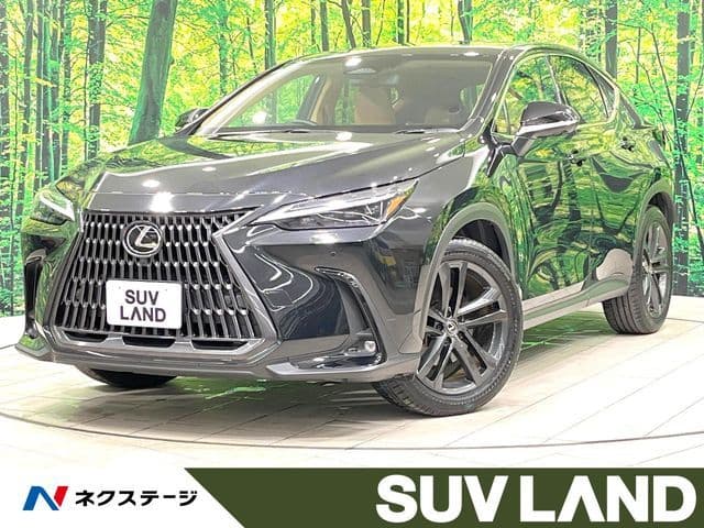 TOYOTA LEXUS NX250