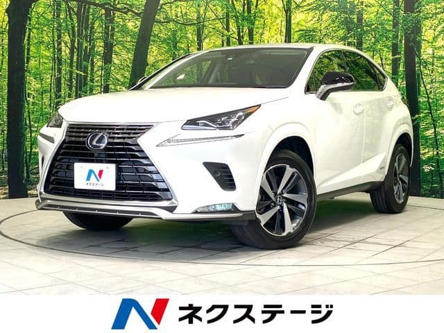 TOYOTA LEXUS NX300h