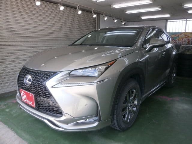 TOYOTA LEXUS NX300h