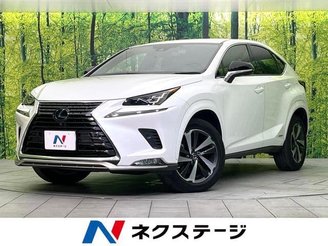 TOYOTA LEXUS NX300h