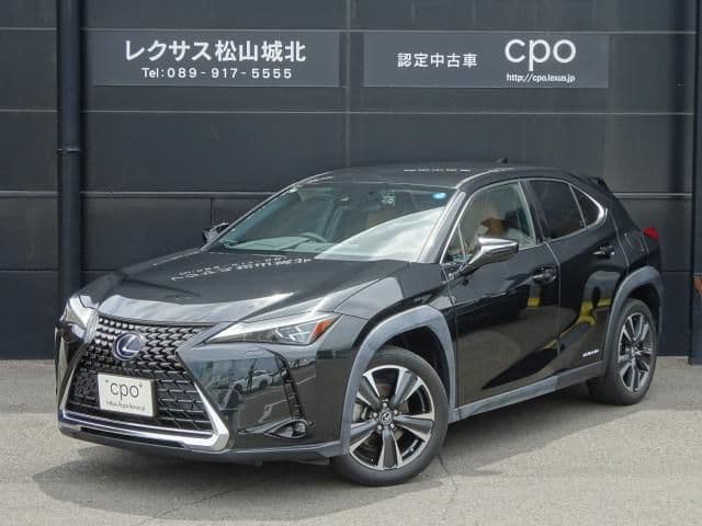 TOYOTA LEXUS UX250h