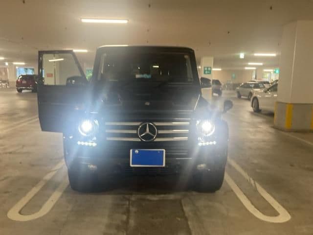 MERCEDES BENZ MERCEDES BENZ G class