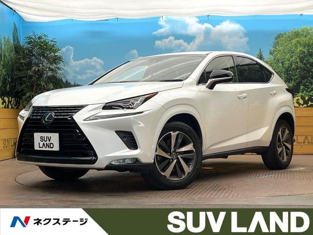 TOYOTA LEXUS NX300