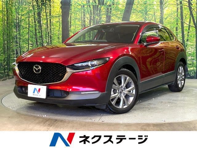 Car image 1