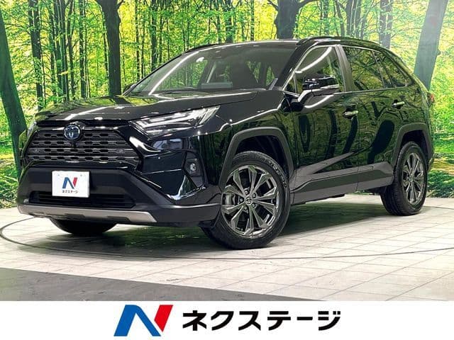 TOYOTA RAV4 HYBRID 4WD