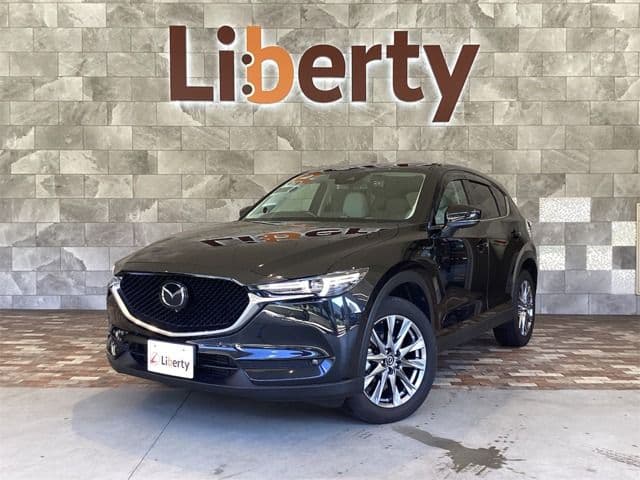 Car image 1
