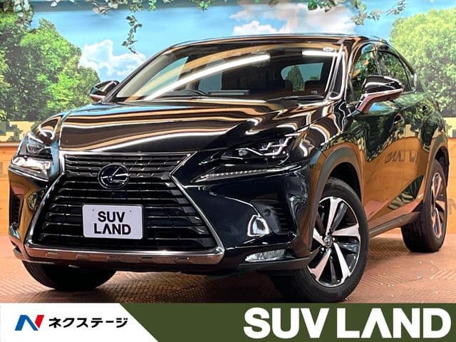 TOYOTA LEXUS NX300h