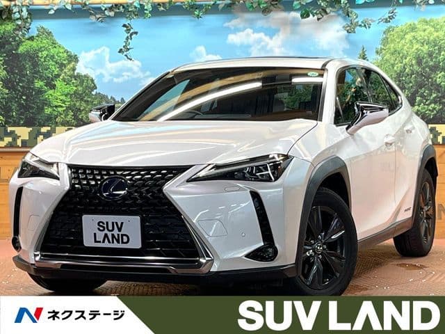 TOYOTA LEXUS UX250h