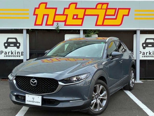 Car image 1