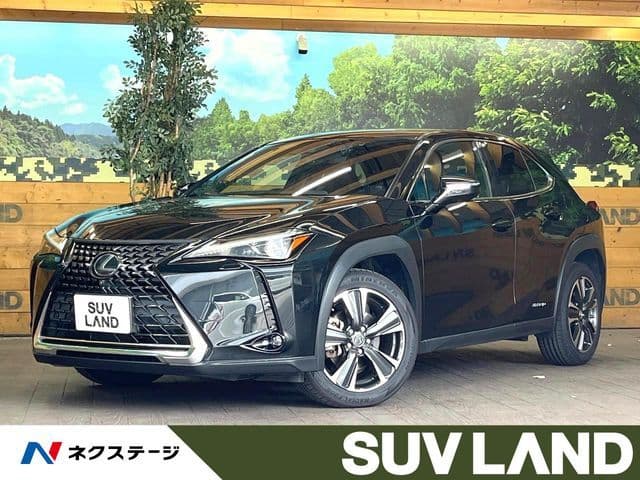 TOYOTA LEXUS UX250h