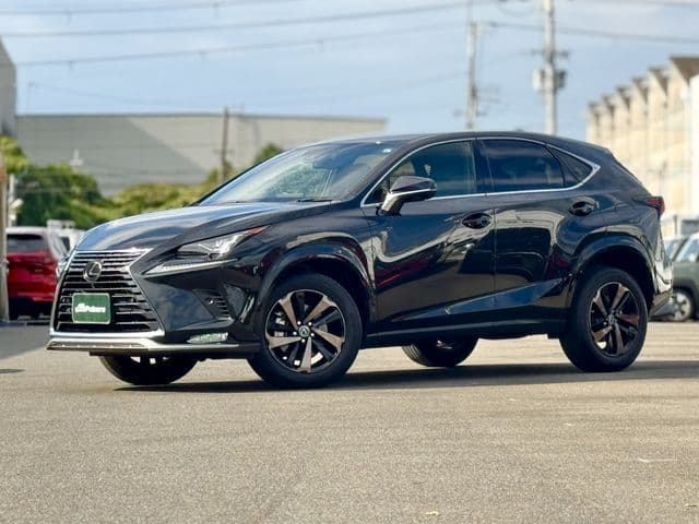 TOYOTA LEXUS NX300
