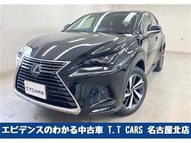 TOYOTA LEXUS NX300h AWD