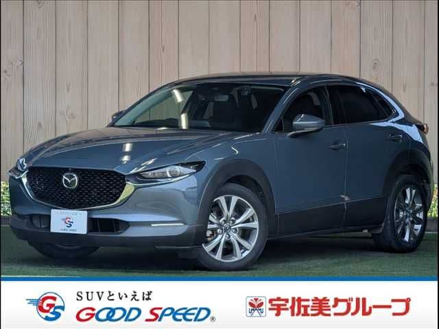 Car image 1