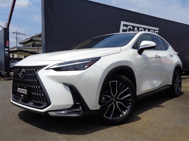 TOYOTA LEXUS NX450h+ AWD