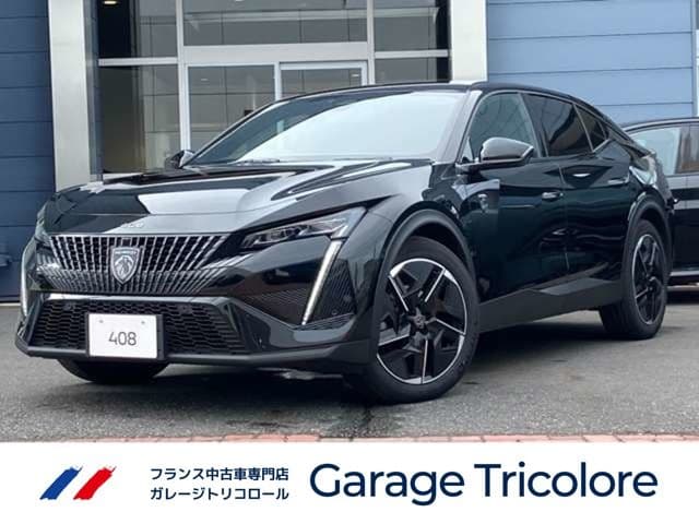 PEUGEOT null