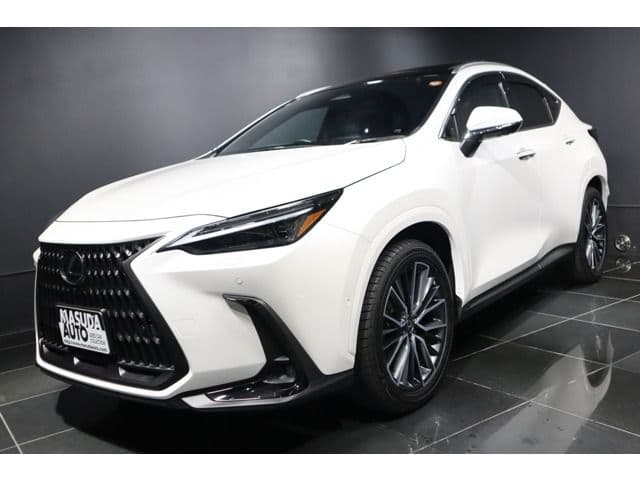 TOYOTA LEXUS NX350h