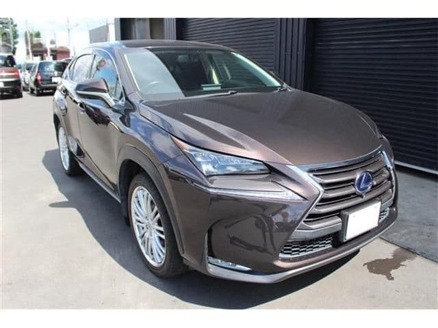 TOYOTA LEXUS NX300h AWD