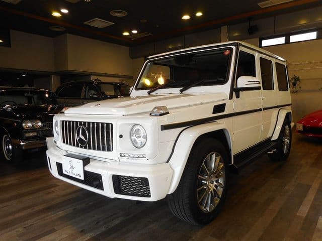 MERCEDES BENZ MERCEDES BENZ G class