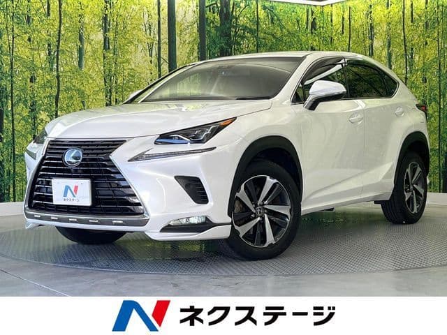 TOYOTA LEXUS NX300