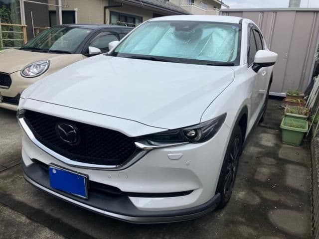 Car thumbnail 2