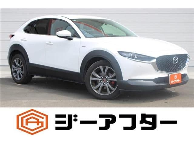 Car image 1