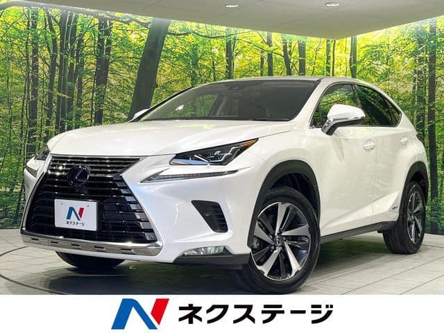 TOYOTA LEXUS NX300h