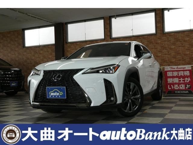 TOYOTA LEXUS UX250h AWD