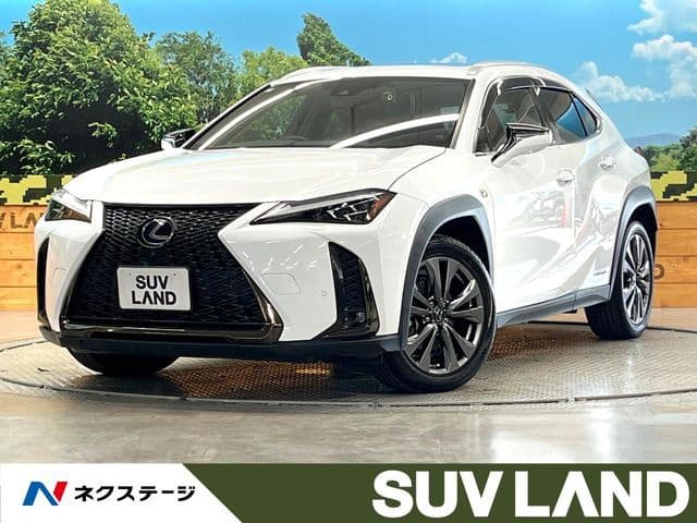 TOYOTA LEXUS UX250h