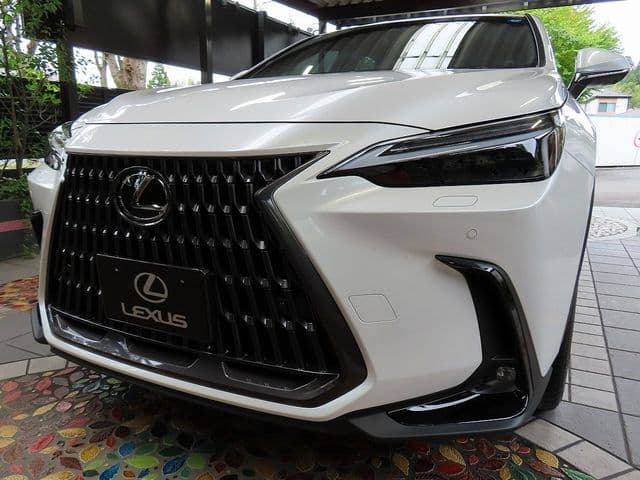 TOYOTA LEXUS NX350h AWD